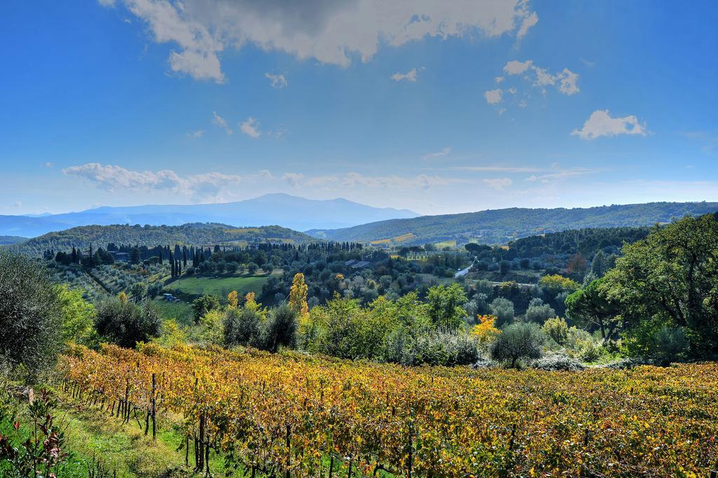 Agriturismo Fraschetta Montalcino Luaran gambar