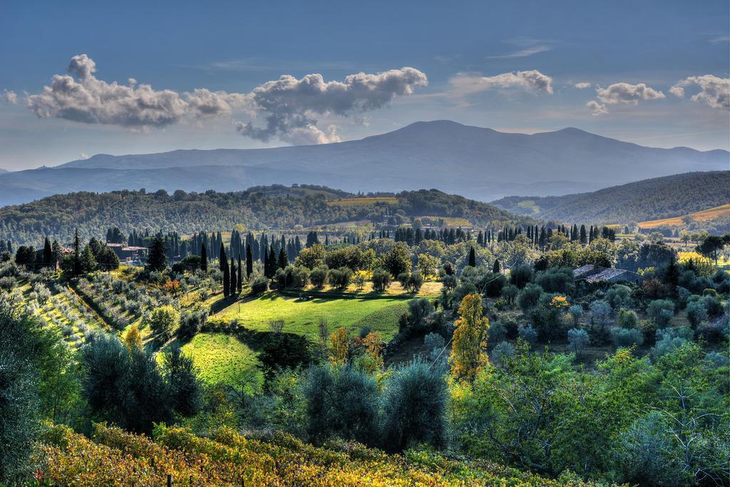 Agriturismo Fraschetta Montalcino Luaran gambar