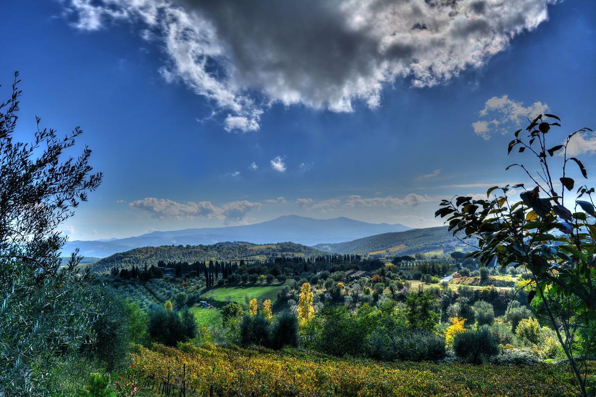Agriturismo Fraschetta Montalcino Luaran gambar
